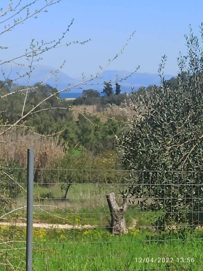 Corfu Oasis Studio Neochorakion エクステリア 写真