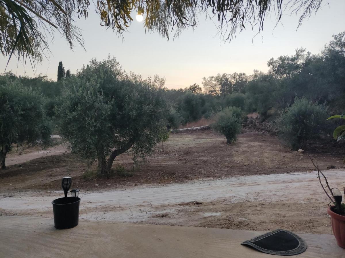 Corfu Oasis Studio Neochorakion エクステリア 写真